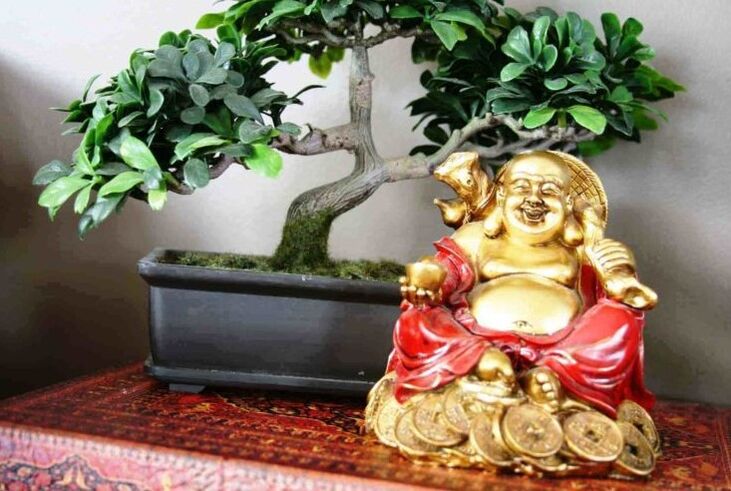 Felicidad y prosperidad en el hogar según el Feng Shui
