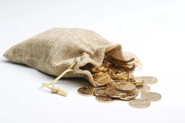 Bolsa llena de dinero