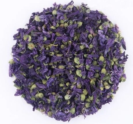 Flores moradas secas